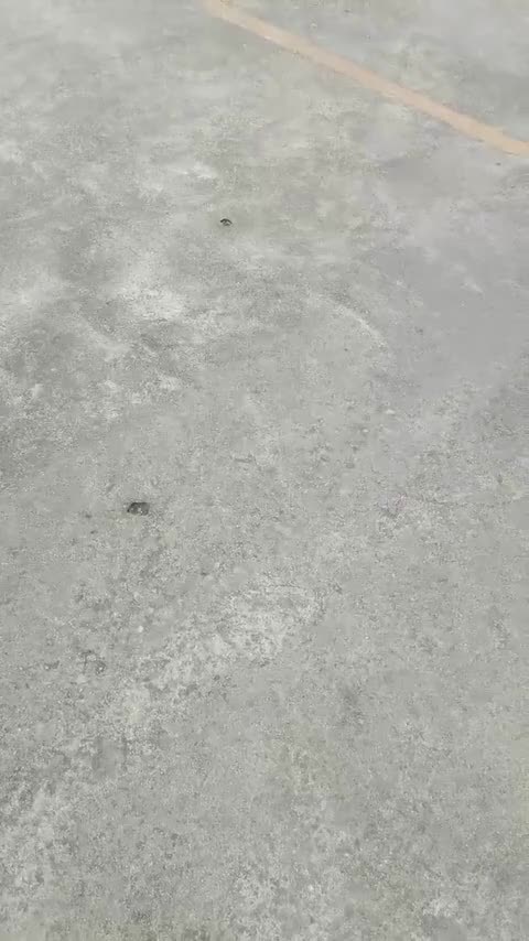 大众 捷达 2013款 1.6L 手动时尚型讲解2