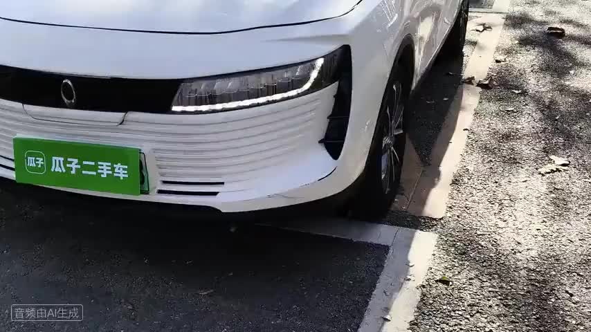 欧拉iQ 2018款 高续航版 智联型检测视频1