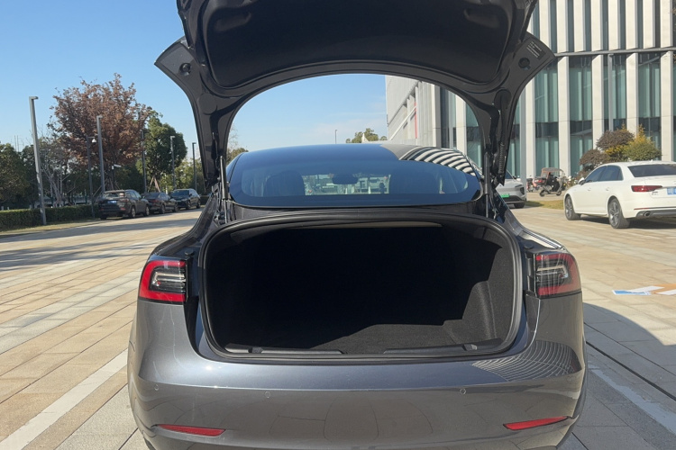 特斯拉 Model 3 2019款 标准续航后驱升级版局部细节23