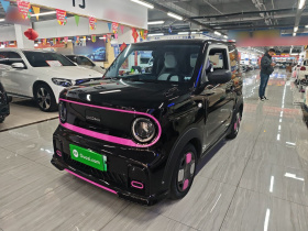 吉利银河 2025款 210km 熊猫卡丁