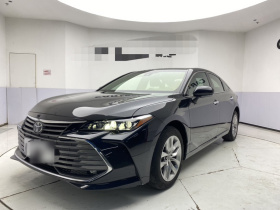 丰田 亚洲龙 2021款 2.5L 豪华版