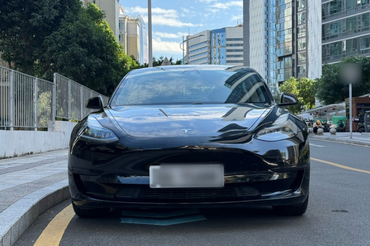 特斯拉 Model 3 2021款 标准续航后驱升级版车身外观6005