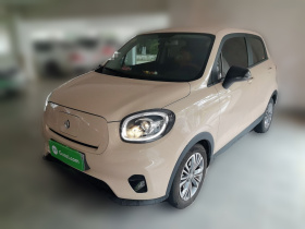 零跑汽车 零跑T03 2022款 珠光版