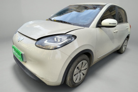 五菱汽车 五菱缤果 2023款 203km 轻享款