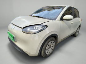 五菱汽车 五菱缤果 2023款 203km 轻享款