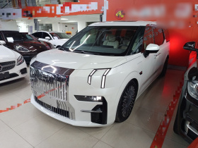 极氪009 2022款 WE版