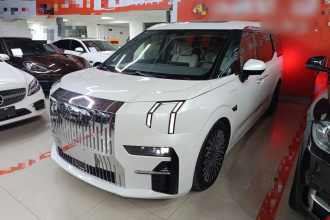 极氪009 2022款 WE版