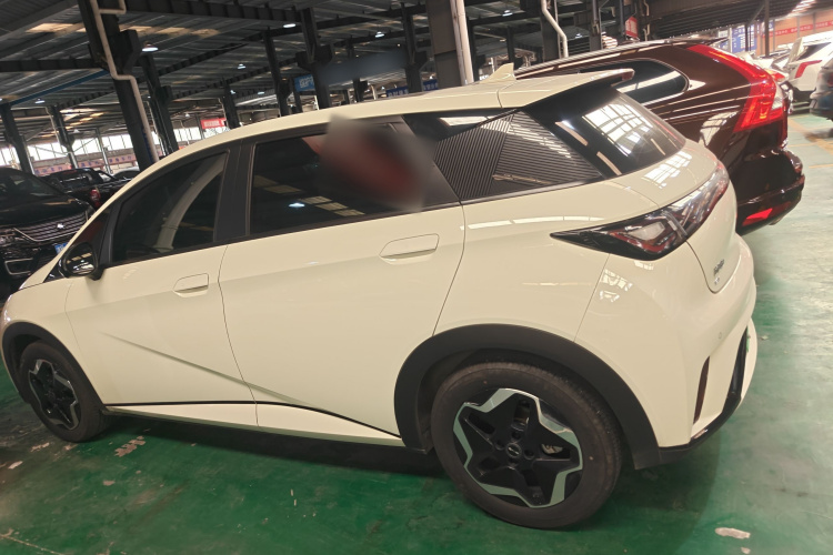 比亚迪 海豚 2021款 405km 时尚版车身外观6003