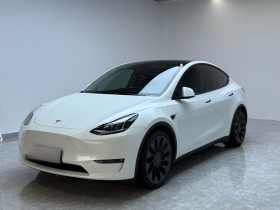 特斯拉 Model Y 2022款 Performance高性能全轮驱动版