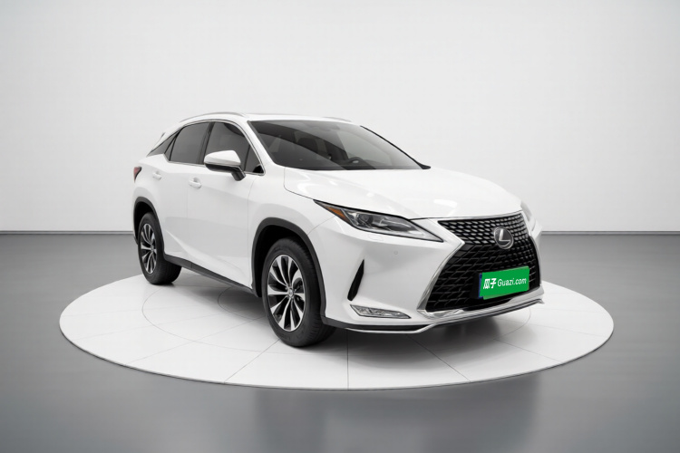 雷克萨斯RX 2020款 300 两驱精英版 国VI车身外观3