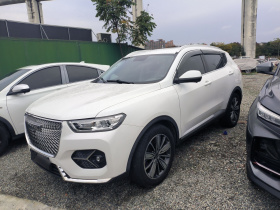 哈弗H6 2021款 1.5T 自动冠军版