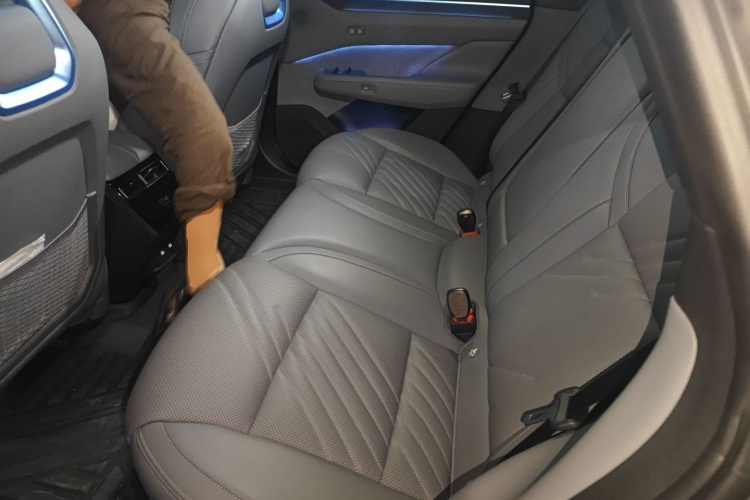 极氪001 2024款 WE版 95kWh 四驱中控内饰21