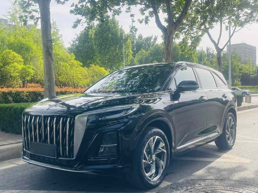 红旗HS3 PHEV 2024款 115km 劲为版(1)