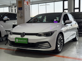 大众 高尔夫 2021款 280TSI DSG Pro