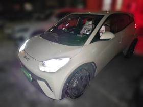 比亚迪 海鸥 2023款 自由版