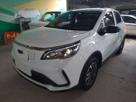 吉利几何 EX3 功夫牛 2021款 坚强牛牛