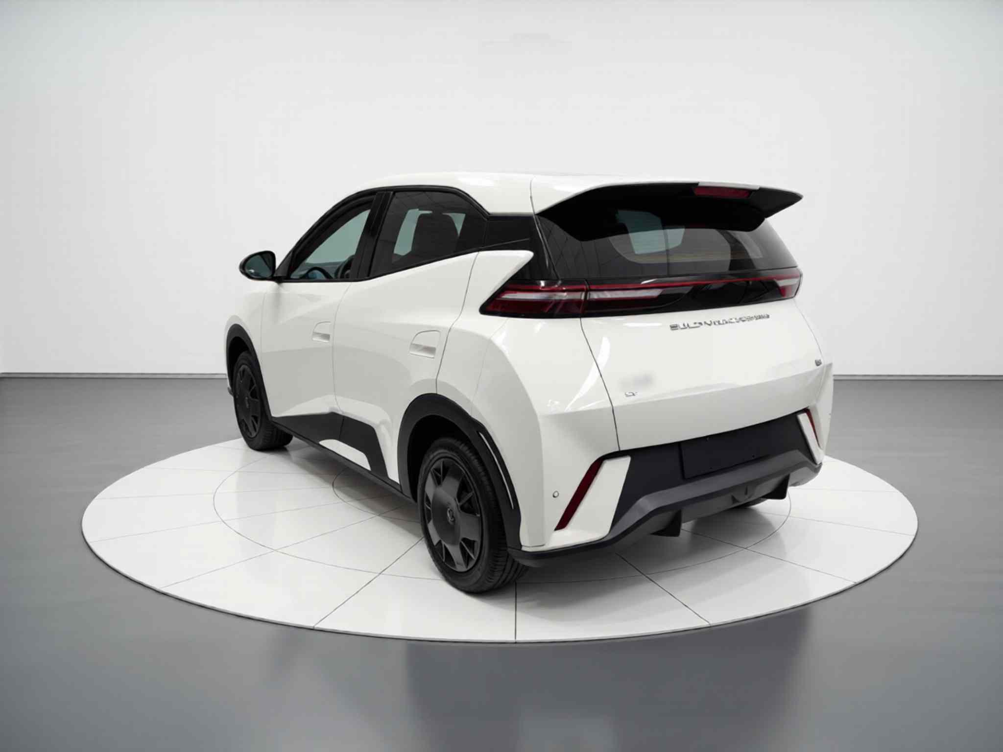 比亚迪 海鸥 2024款 荣耀版 305km 活力版(3)