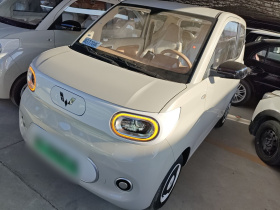 五菱汽车 宏光MINIEV 2024款 第三代 215km 青春版