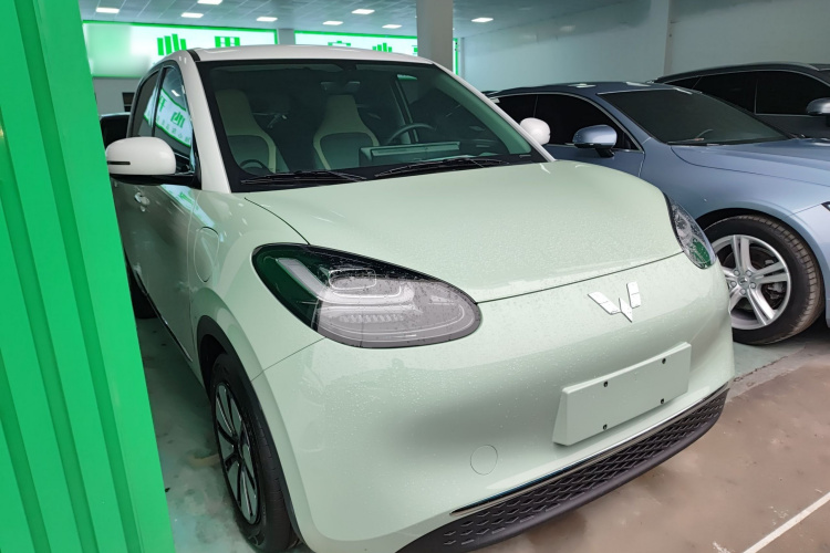 五菱汽车 五菱缤果 2024款 333km 悦享款车身外观6002