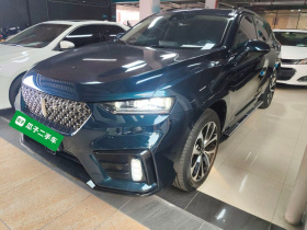 魏牌 VV7 2020款 2.0T 超豪型