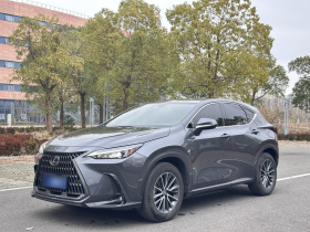 雷克萨斯NX 2023款 260 前驱 创游特别版