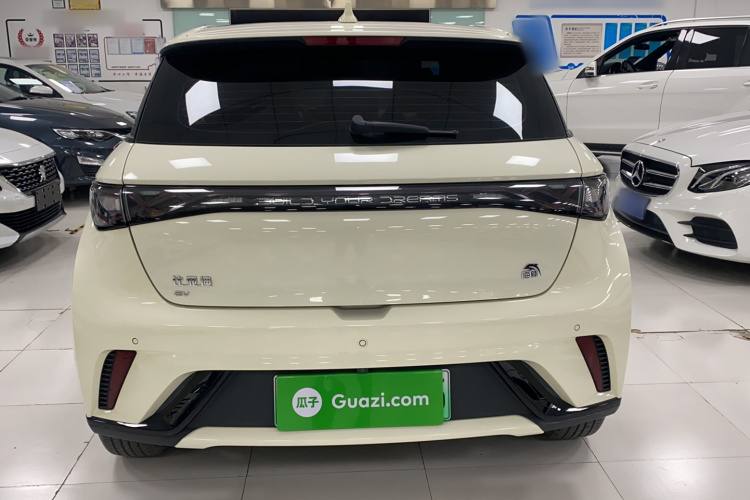 比亚迪 海豚 2023款 420km 时尚版车身外观6004