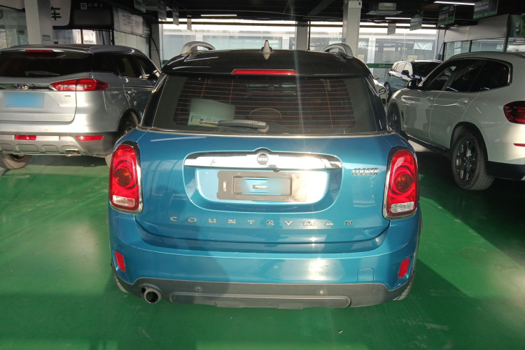 MINI Countryman 2018款 1.5T COOPER ALL4 艺术家车身外观6004