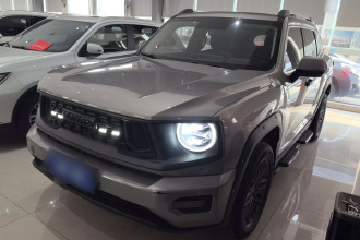 哈弗大狗 PLUS 2023款 2.0T 两驱潮野版