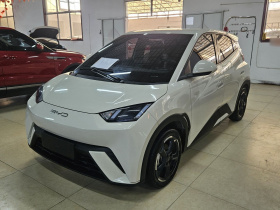 比亚迪 海鸥 2023款 飞翔版