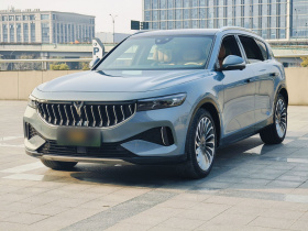 岚图汽车 岚图FREE 2021款 四驱标准增程专属豪华套装