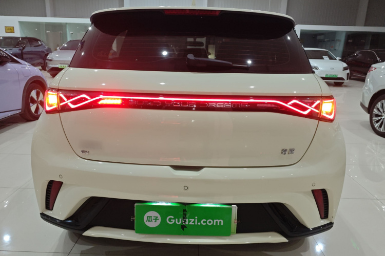 比亚迪 海豚 2024款 荣耀版 420km 自由版车身外观6