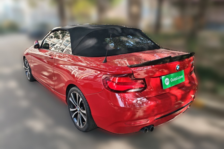 宝马2系(进口) 2019款 225i 敞篷轿跑车 运动设计套装车身外观5