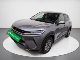 比亚迪 元UP 2024款  401KM 活力版