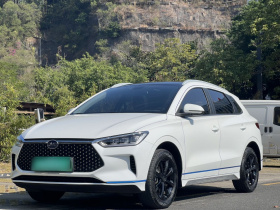比亚迪e2 2020款 升级版 高续航版 尊贵型