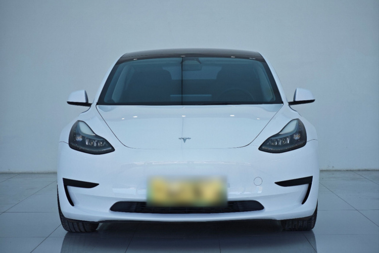 特斯拉 Model 3 2021款 标准续航后驱升级版 3D6车身外观6001
