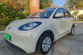 五菱汽车 五菱缤果 2023款 203km 轻享款