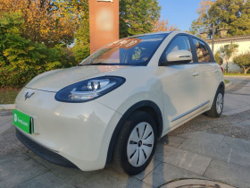 五菱汽车 五菱缤果 2023款 203km 轻享款