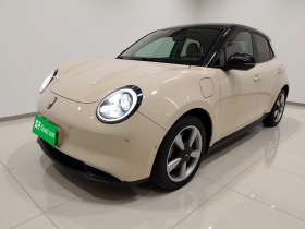 欧拉好猫 2021款 400km标准续航 雅典娜版 磷酸铁锂