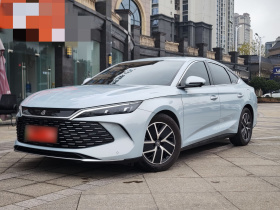 比亚迪 秦L 2024款 DM-i 80KM超越型