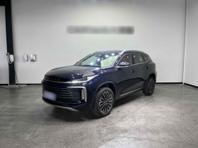 星途凌云 2025款 300T 两驱星耀版