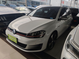 大众 高尔夫GTI 2016款 2.0TSI GTI