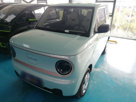 吉利银河 2024款 熊猫mini 200km 耐力熊