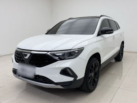 捷达VS7 2021款 熊猫版 1.4T 自动荣耀版