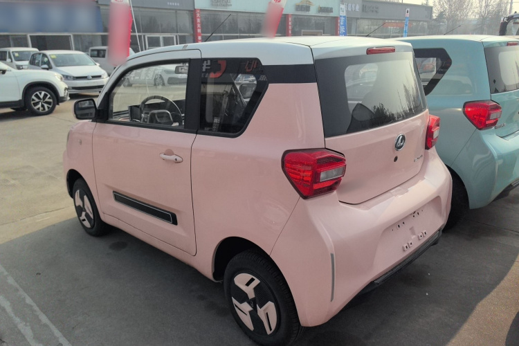 安徽猎豹 猎豹CS01 EV 2024款 实用型车身外观6005
