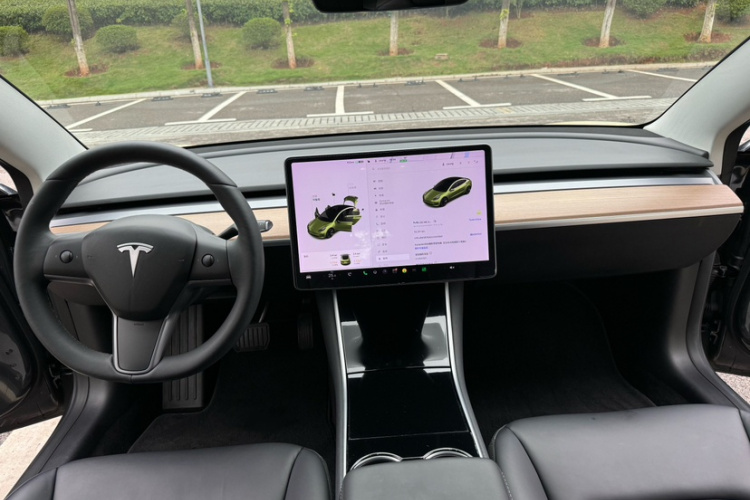 特斯拉 Model 3 2019款 标准续航后驱升级版车身外观6010