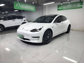 特斯拉 Model 3(进口) 2019款 长续航全轮驱动版