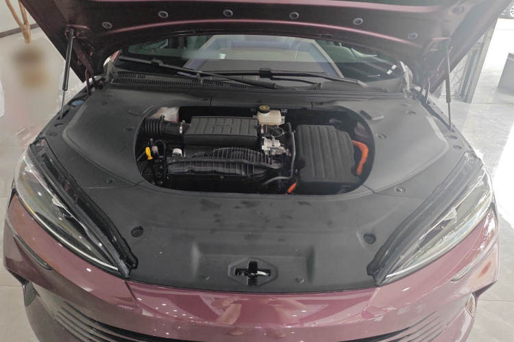 比亚迪 海豹 2023款 DM-i 1.5L 121km 豪华型局部细节24