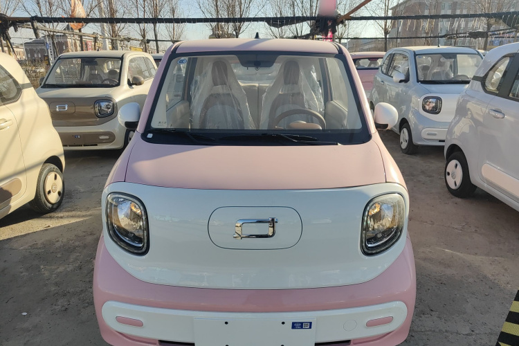 奔腾小马 2026款 222km 萌趣马 Plus车身外观2