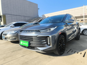 星途凌云 2021款 290T 两驱星耀版