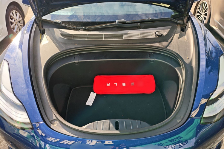 特斯拉 Model 3(进口) 2019款 长续航全轮驱动版局部细节24